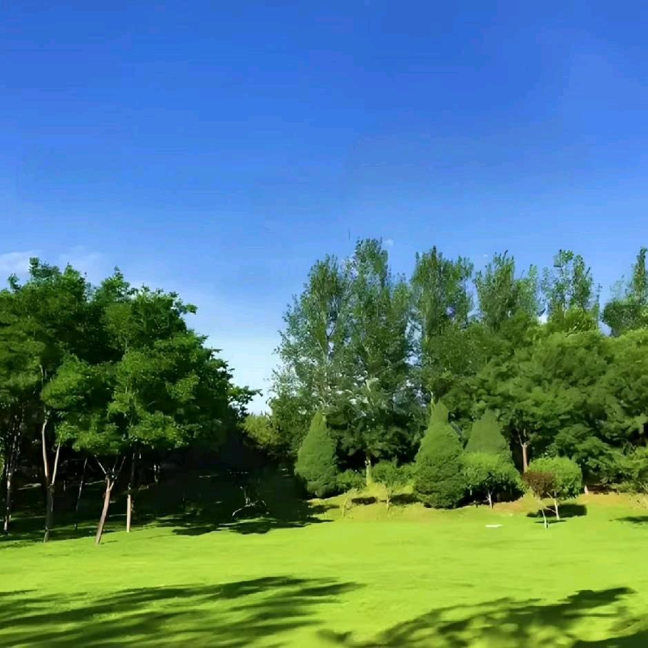 余生只为健康快乐