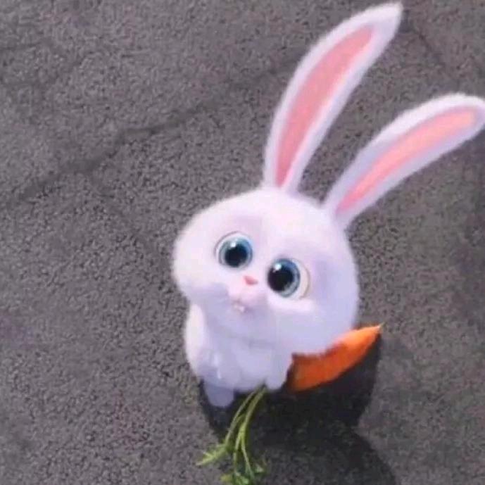 成功的荷包蛋