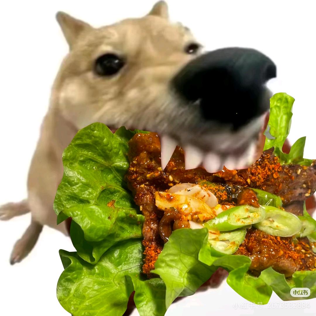 不务正业的烤肉人