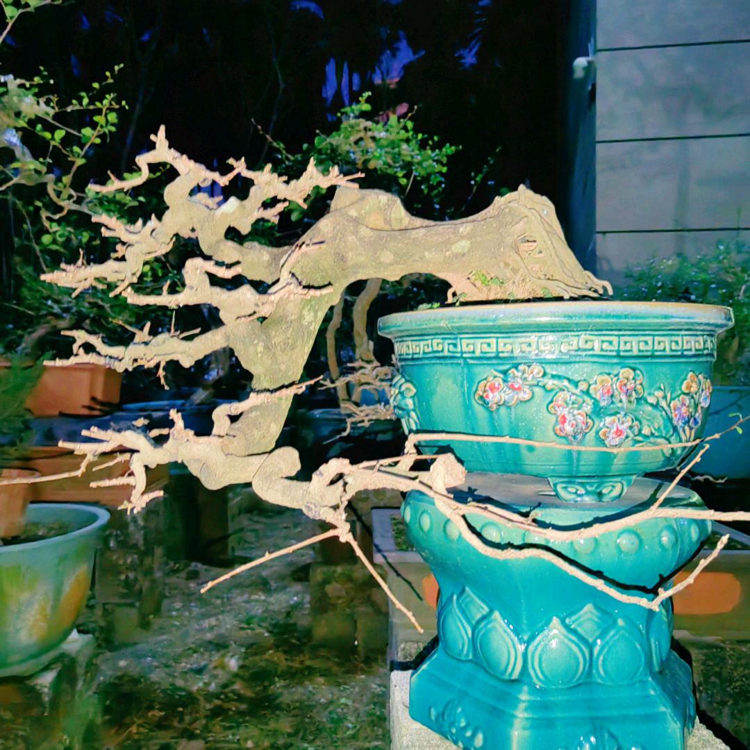 掌纹