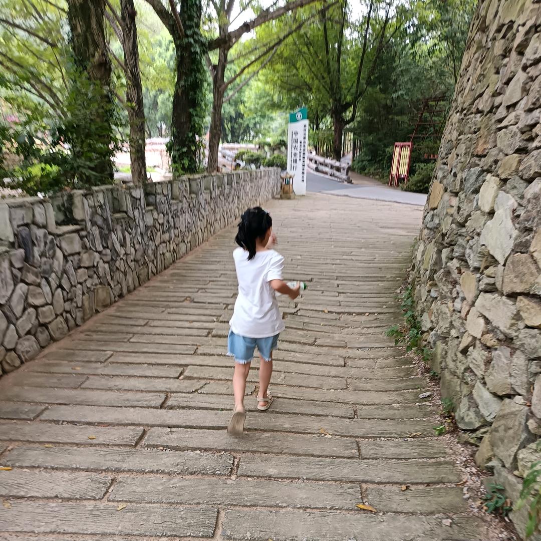 领悟人生