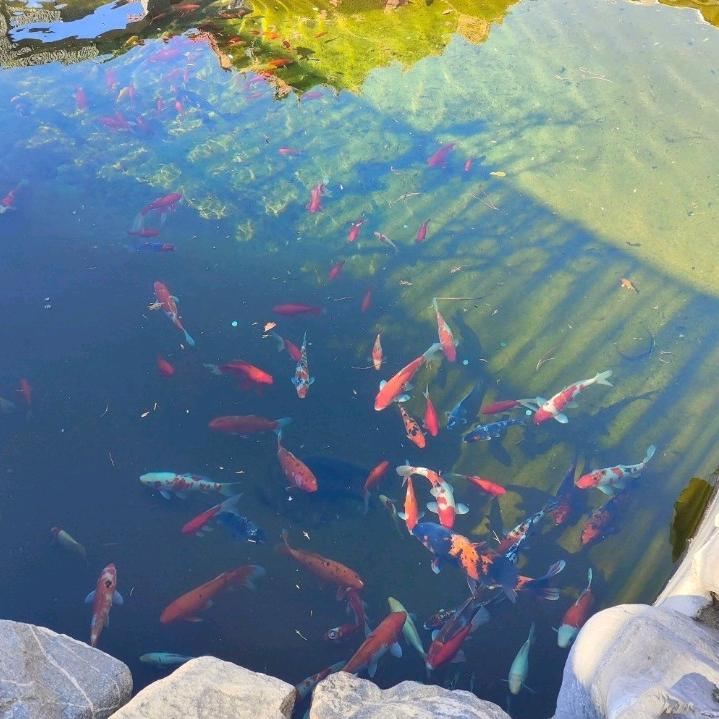 土豆探世界