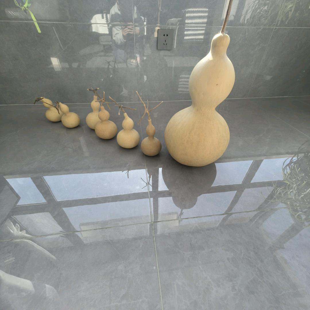 马到成功