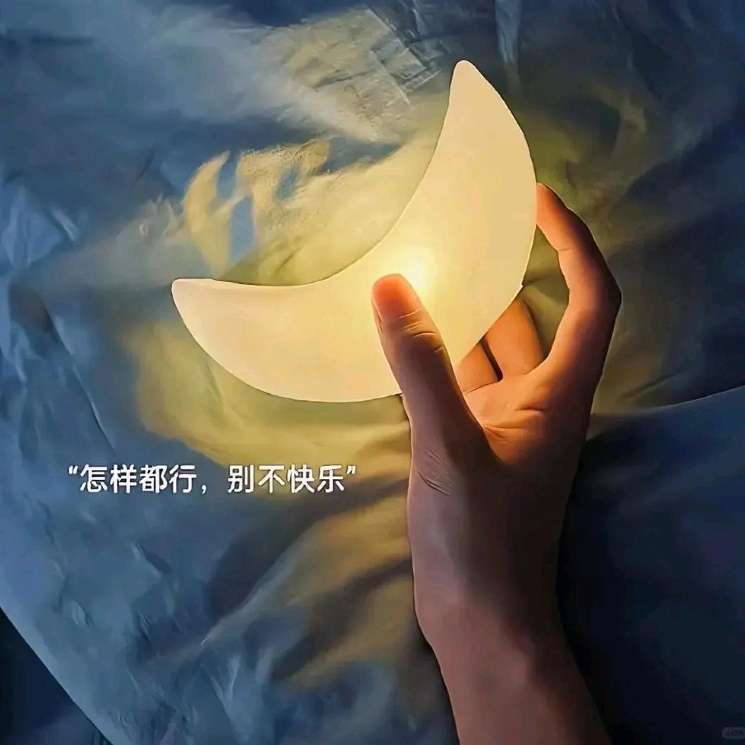 豆豆
