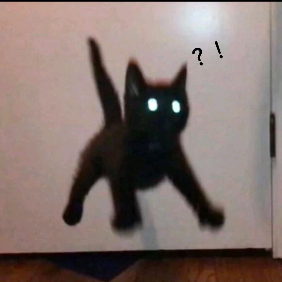 青春滋蹦少年不会遇见克莱伯学姐