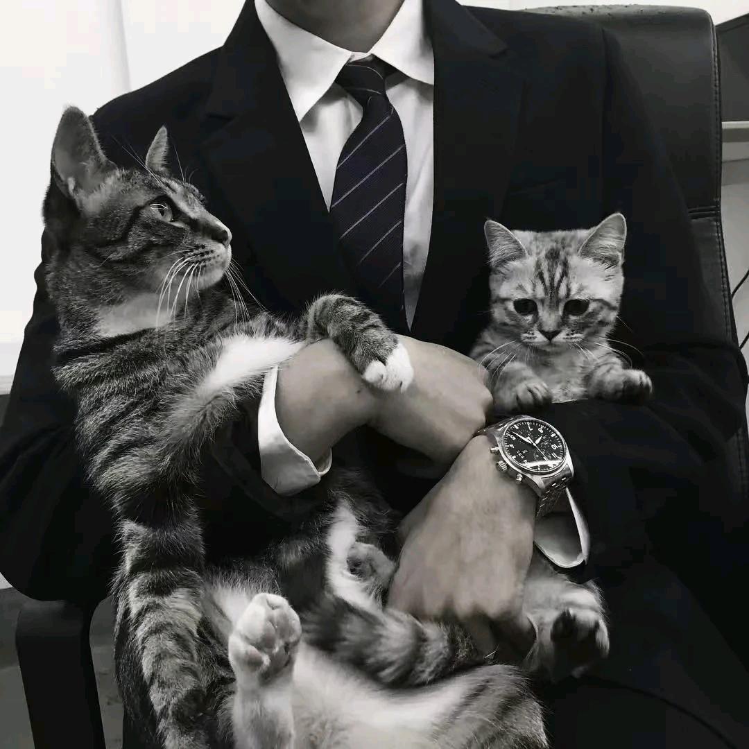 十一