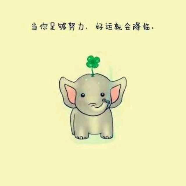 幼稚的肤浅