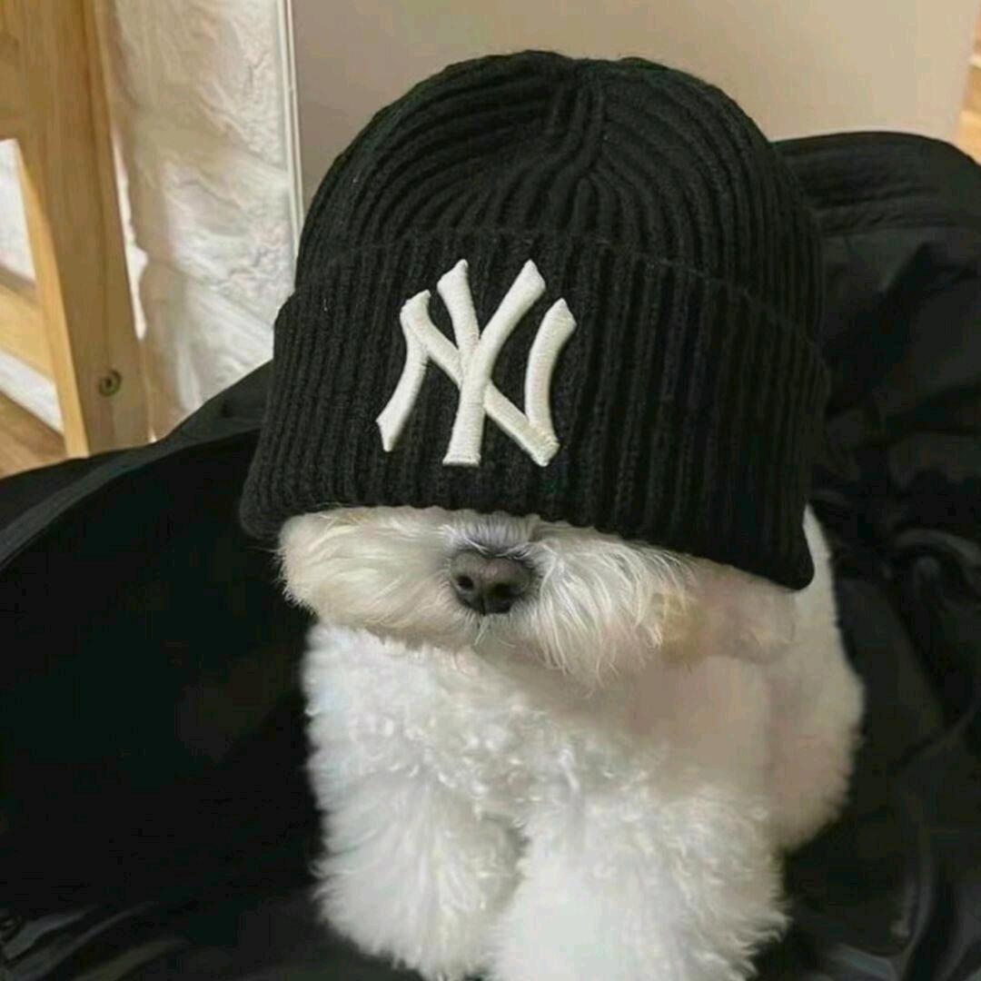 摇池