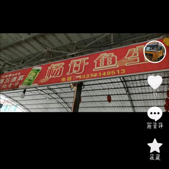 重启明天