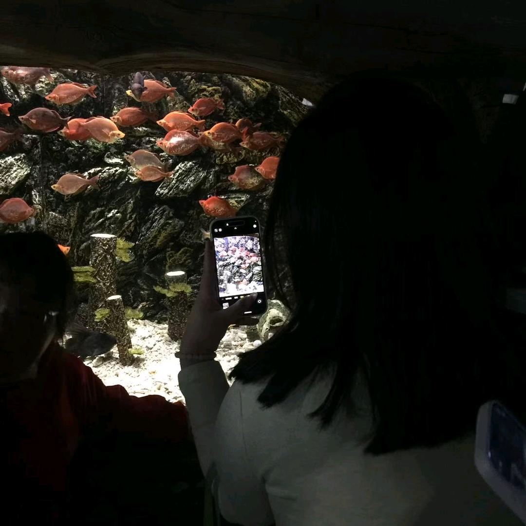 祁半米