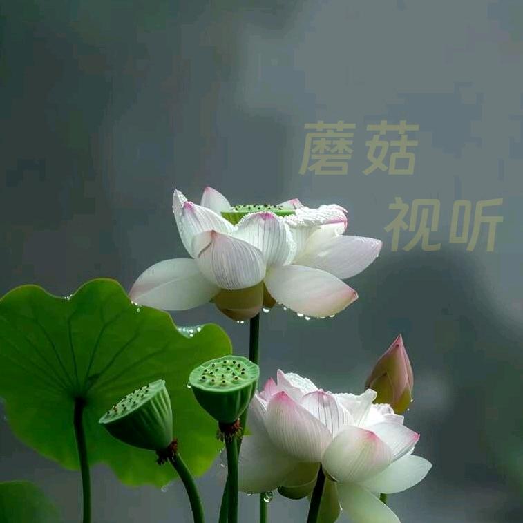 路边的蘑菇不要采