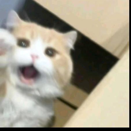 @宋远安（超自然）