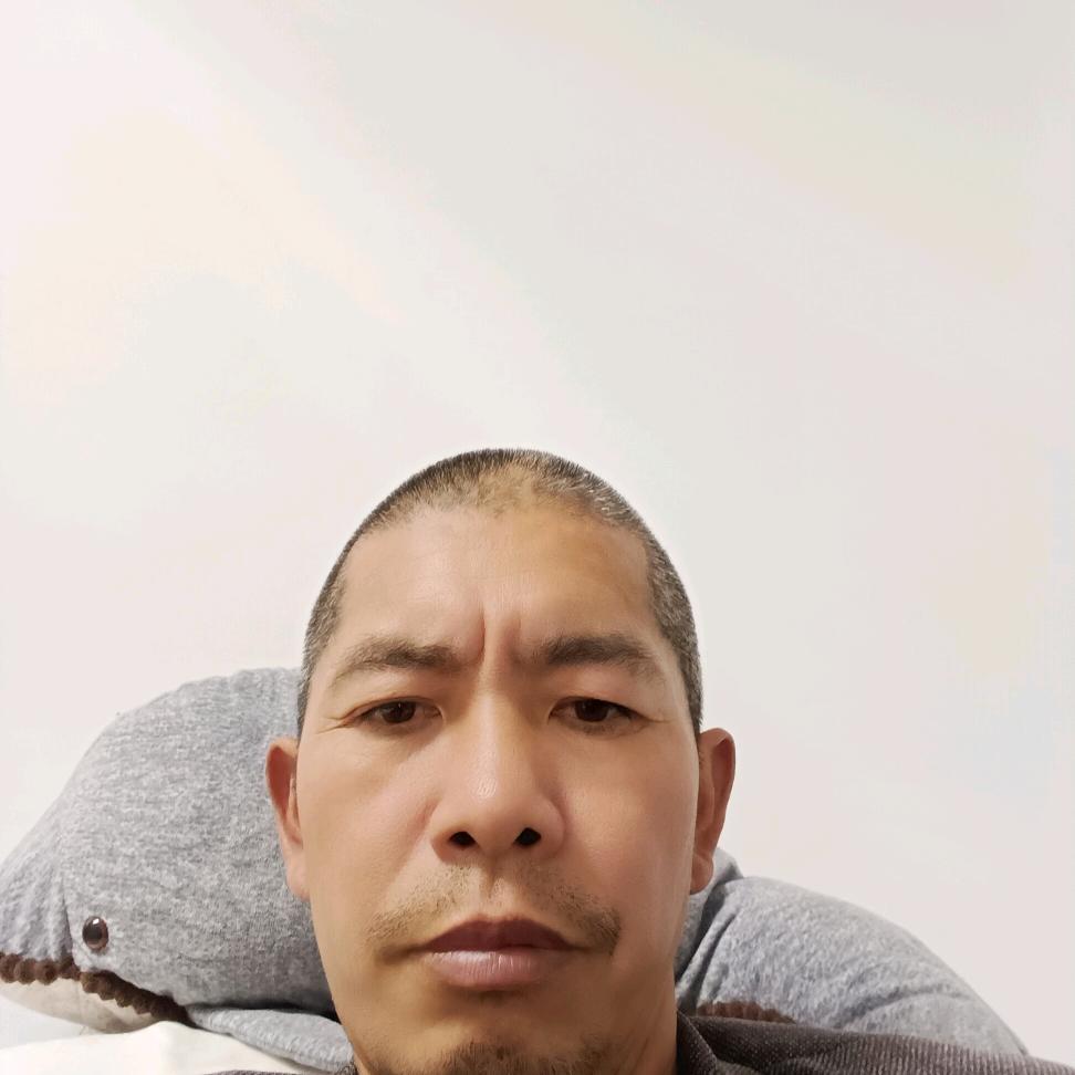 梁武科