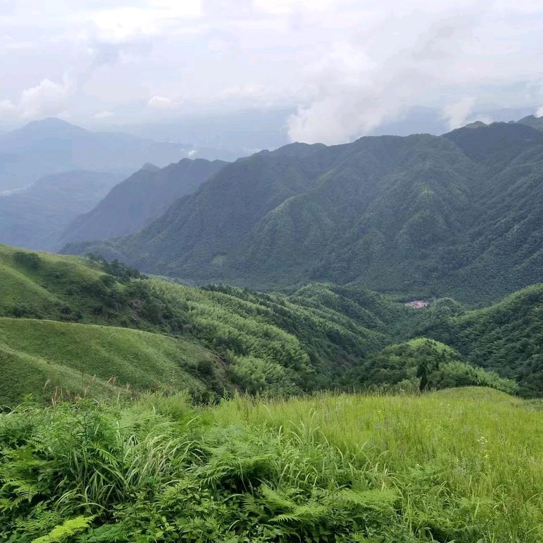 鱼你同乐
