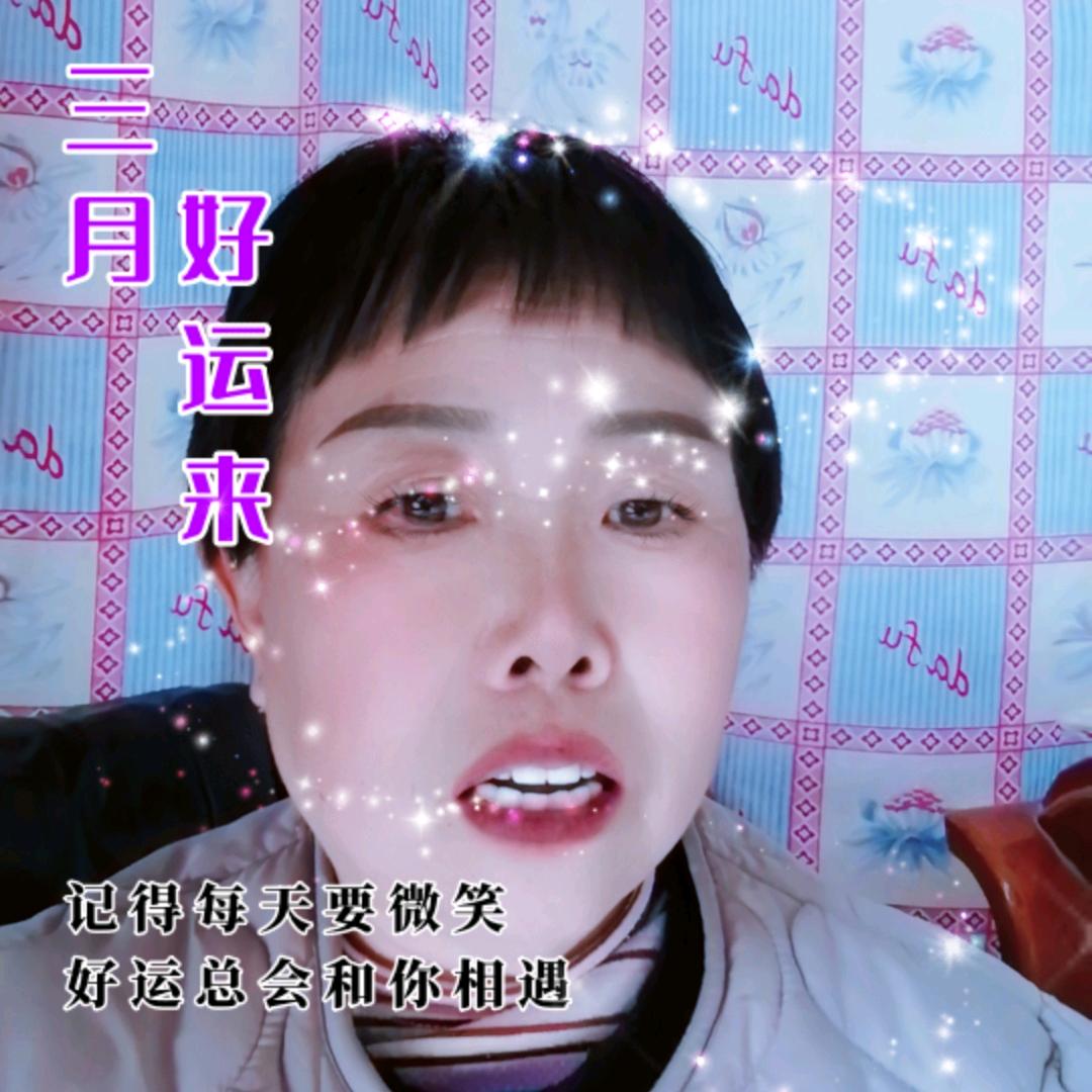 河南陈姐