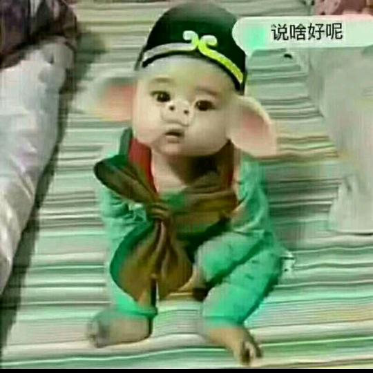 七加二