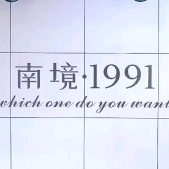 南境1991