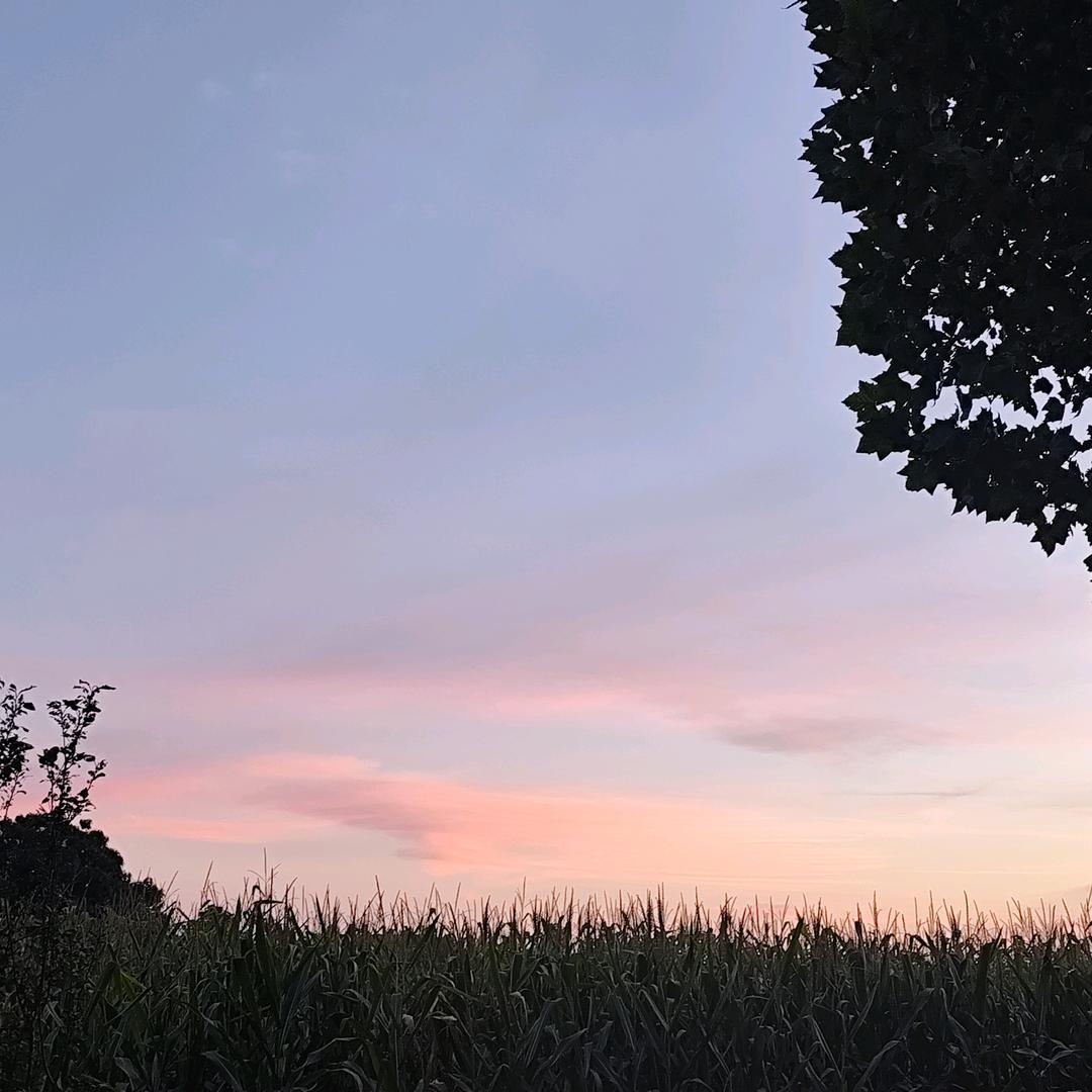 伊伊的写字日常