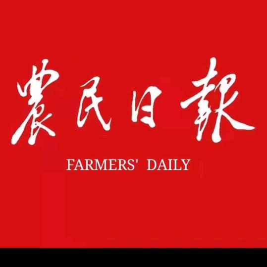 小星星