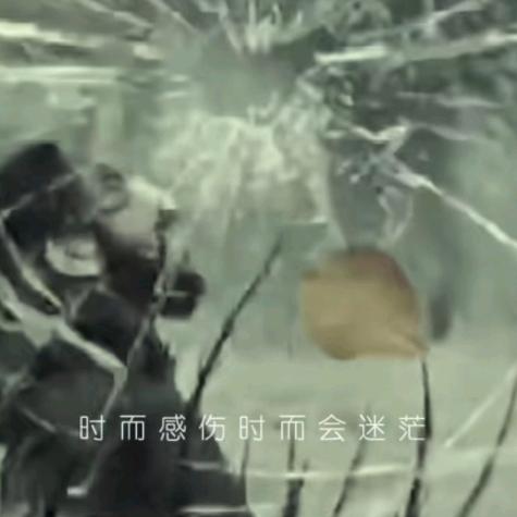生活和遗憾