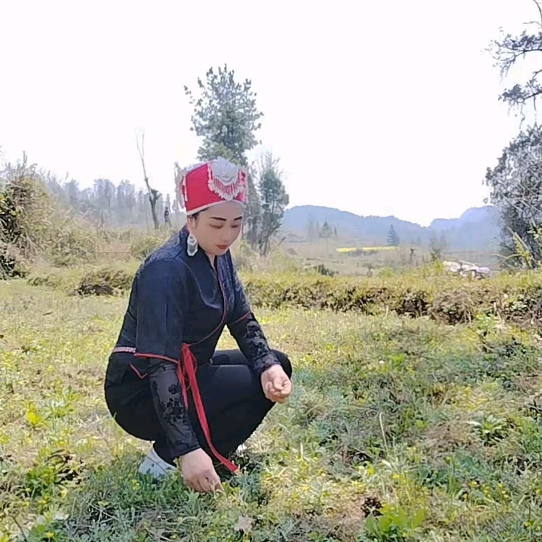 龙妹🌹🌹《请勿连赞》谢谢