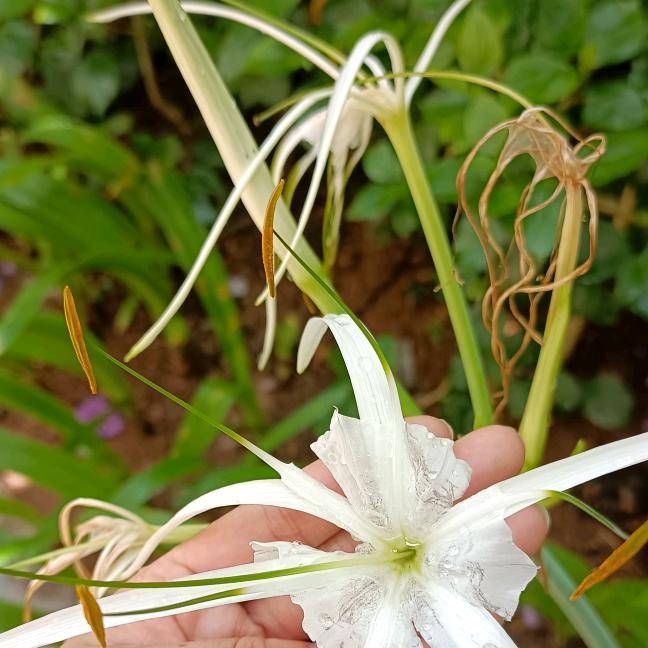 ༄何ོ࿆༅❦你💕ꦿꦿ꯭没༊王ꦿ