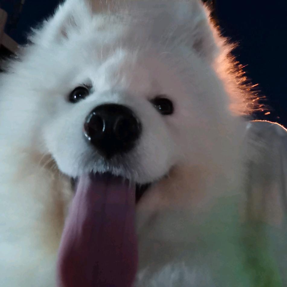 耀你管