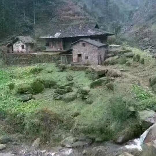 农村山卡卡的