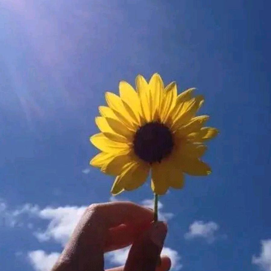 老有所乐！！！