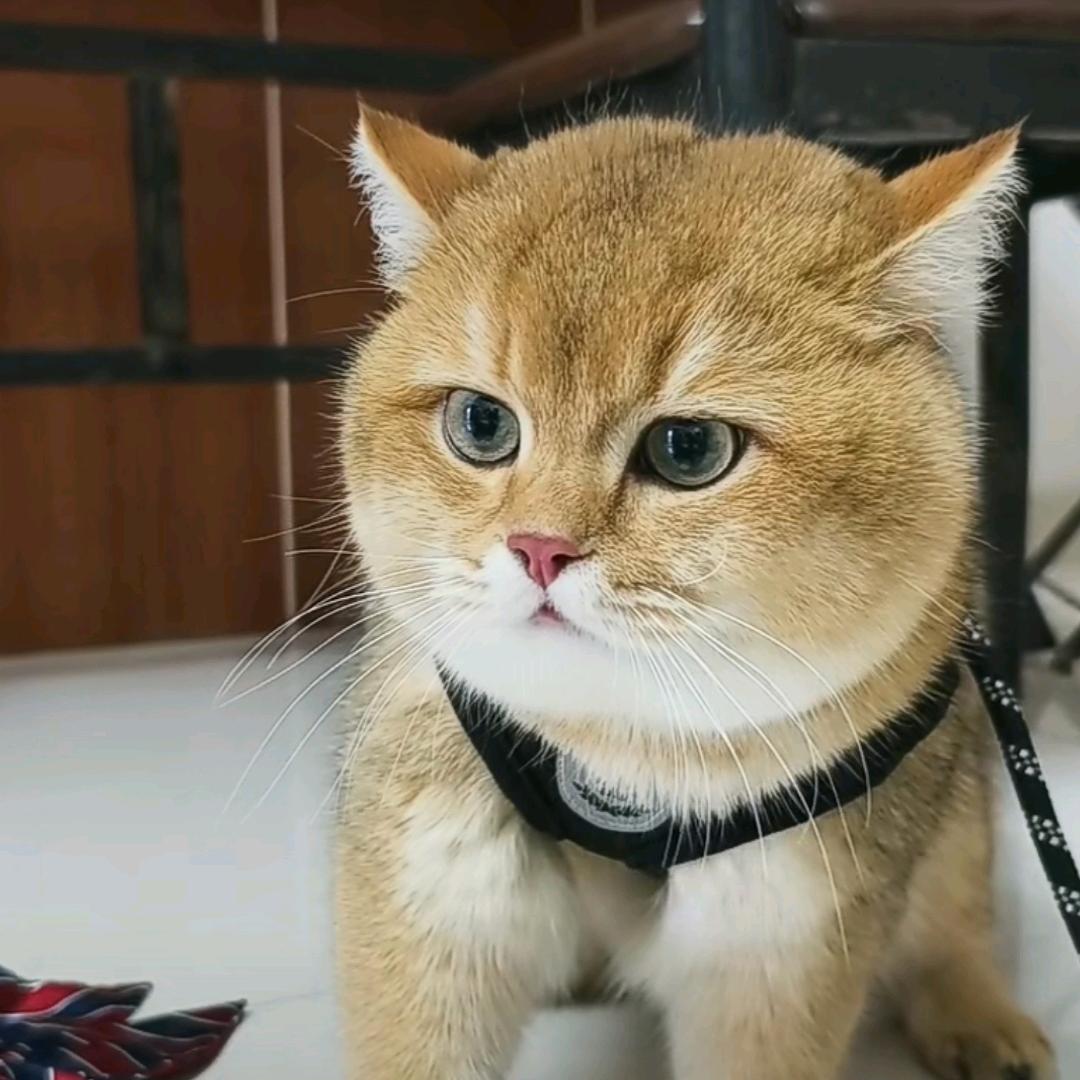！……！