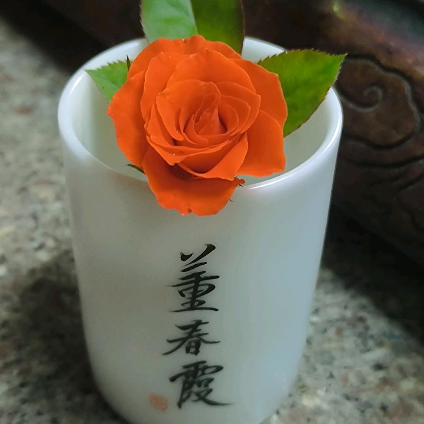 桃花小仙