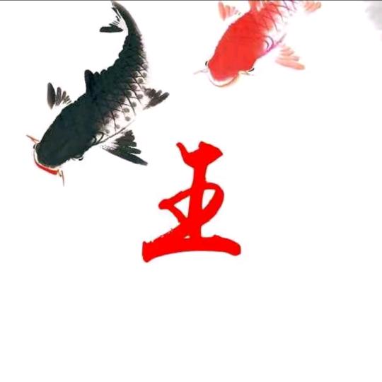 王者归来，