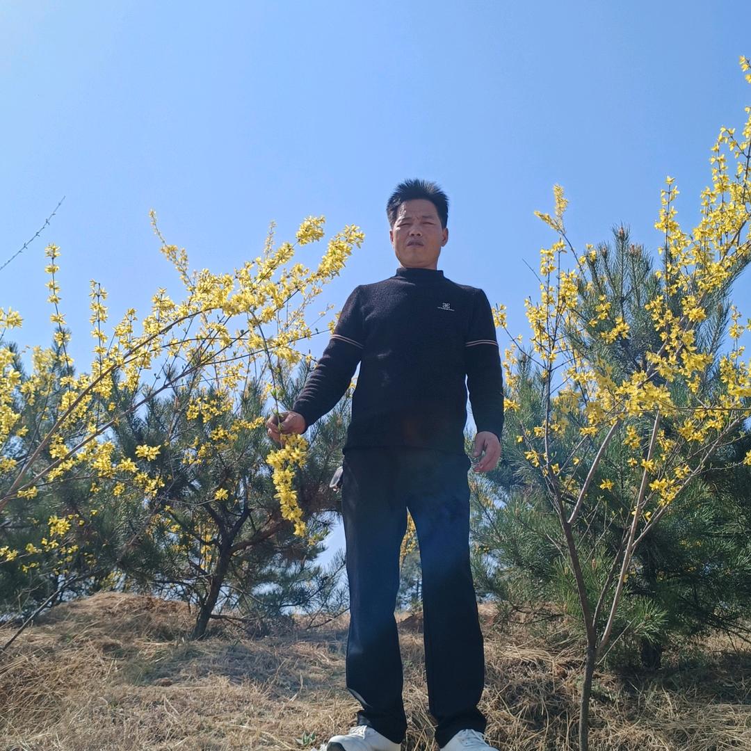 直来直去