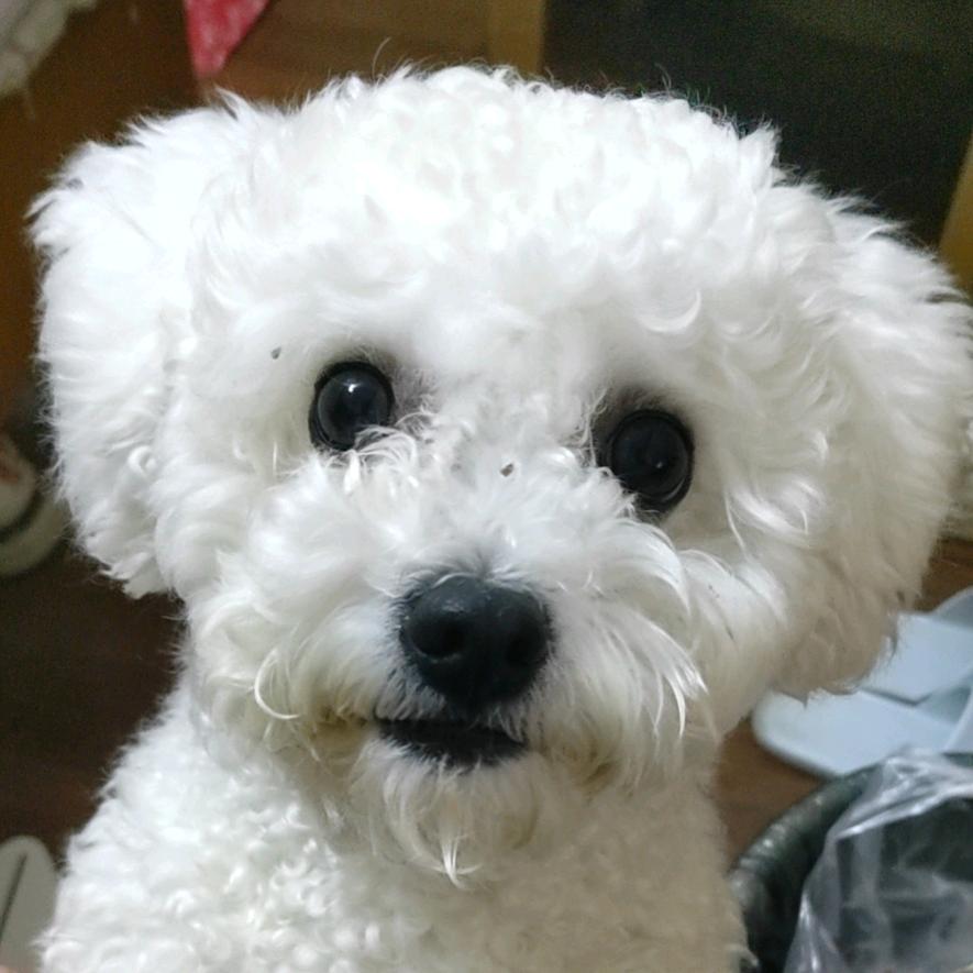繁华初晴👧头像