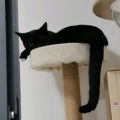辞归