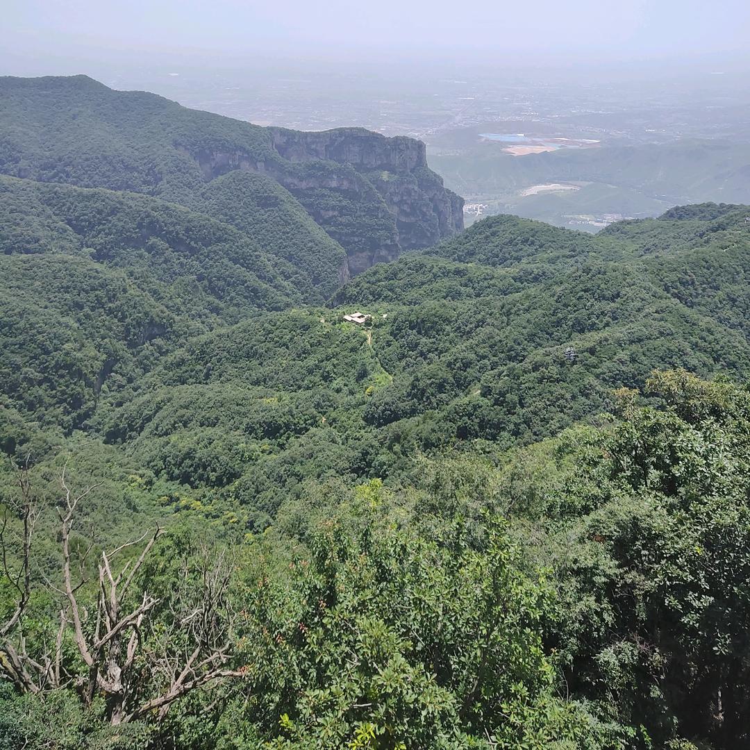 如意