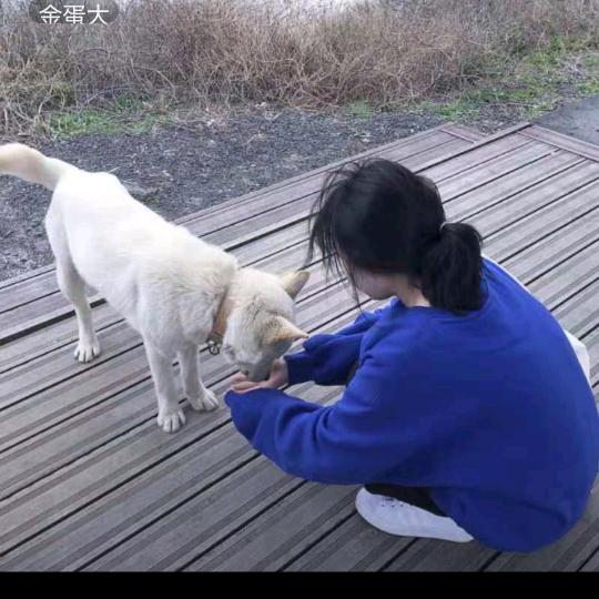 沉默🍃