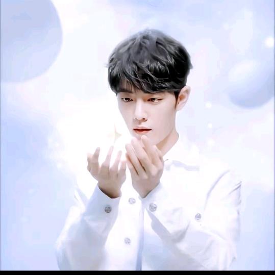 💍星星💍