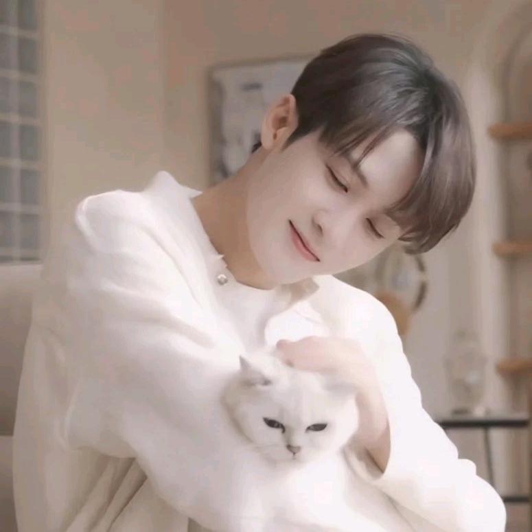 檀多多🔥🔥🔥(破100粉)