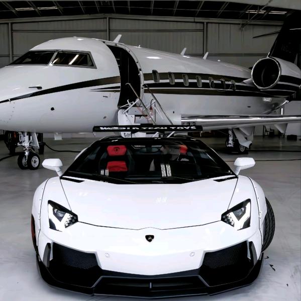 成都竹子买车-（旺仔）