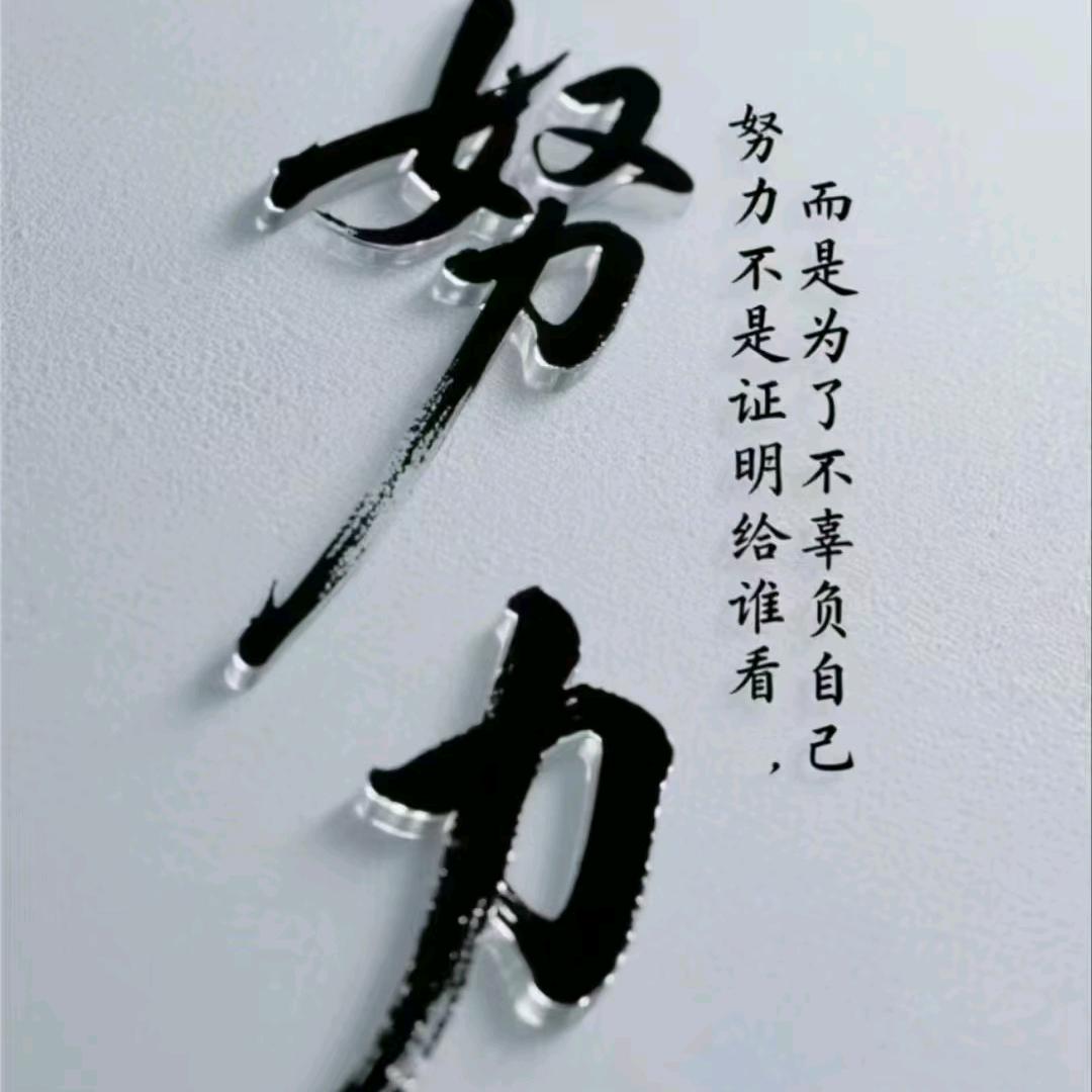 我认真。你随意