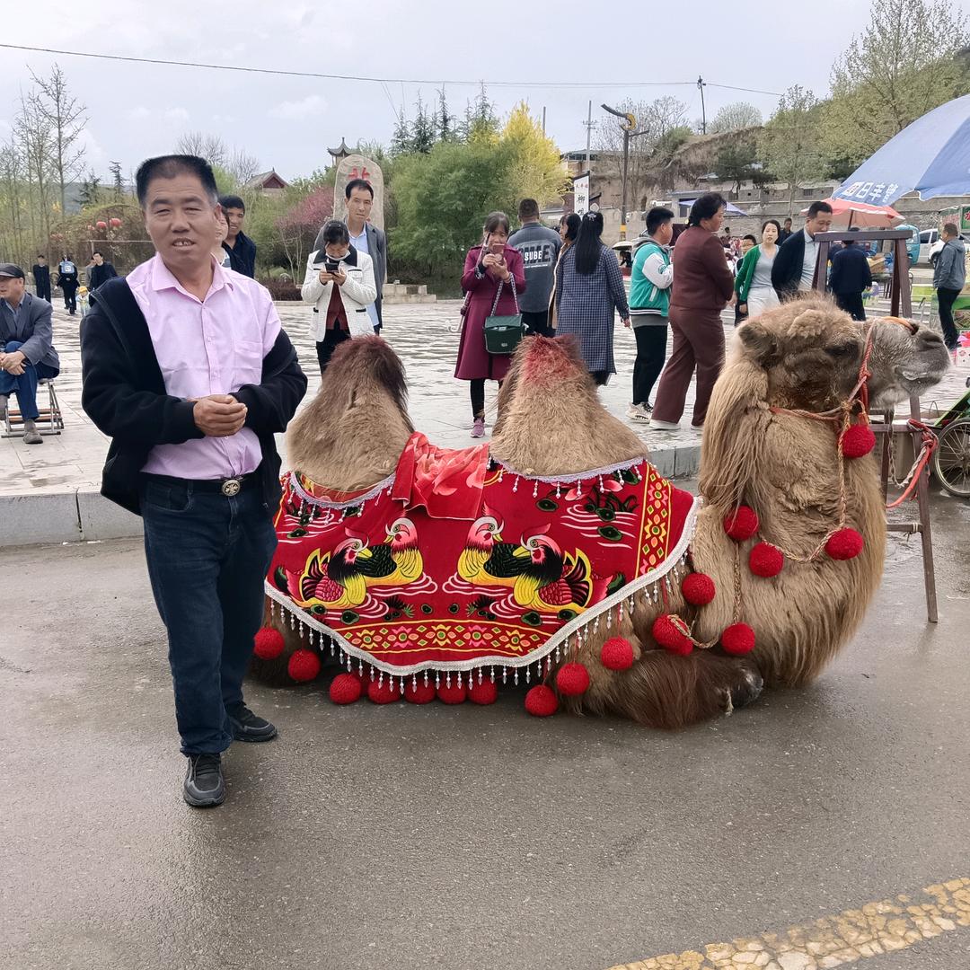 清风明月