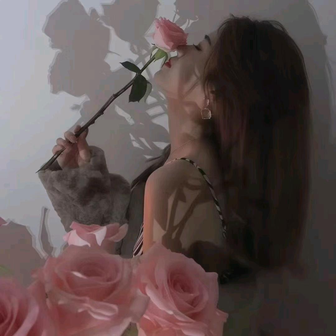 阳光下的向日葵🌻