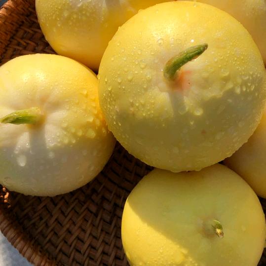 朵朵优选好物