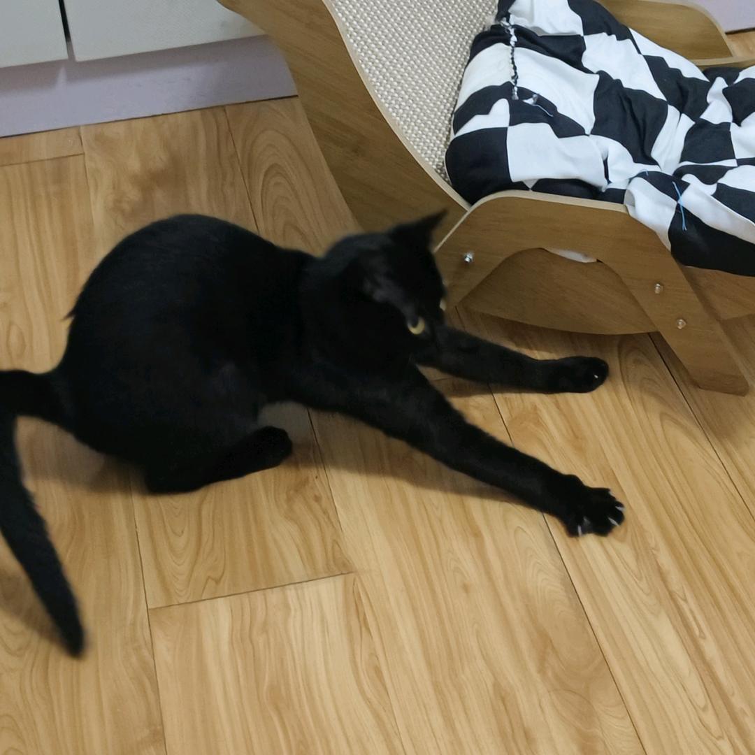 兜勺小洋