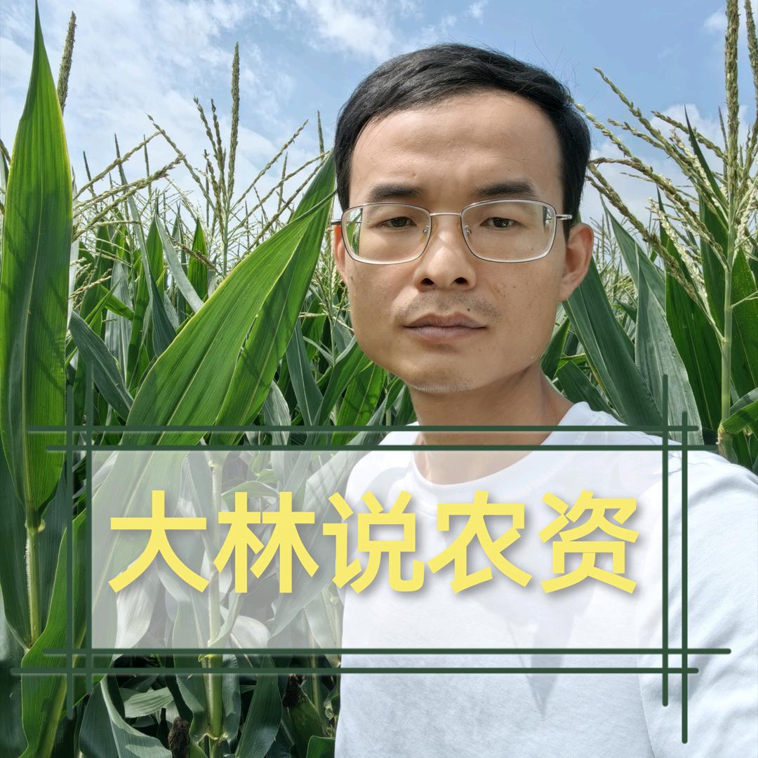 大林说农资