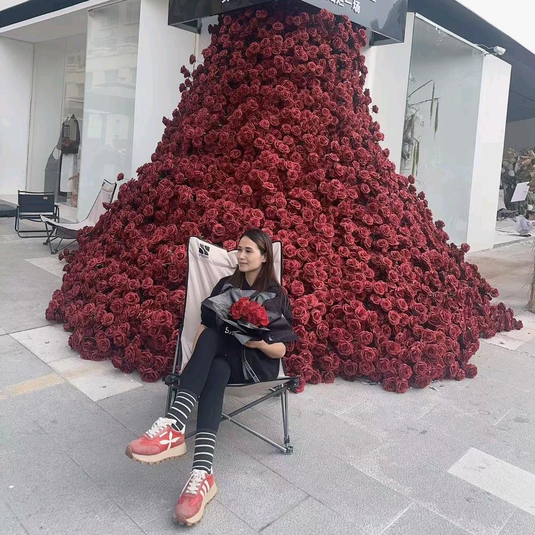 陈二姐一鹿结缘