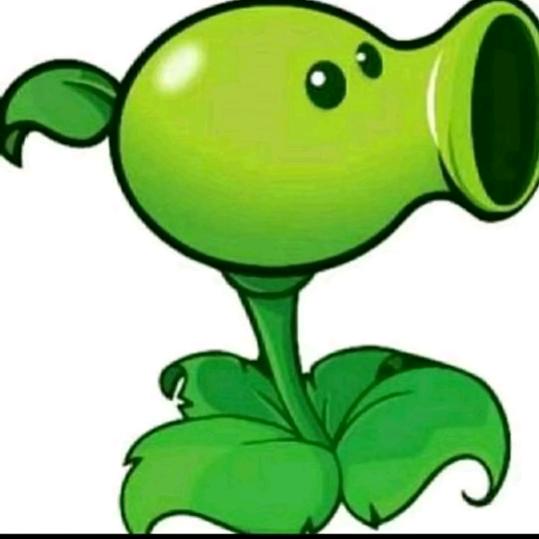 弄啥呢