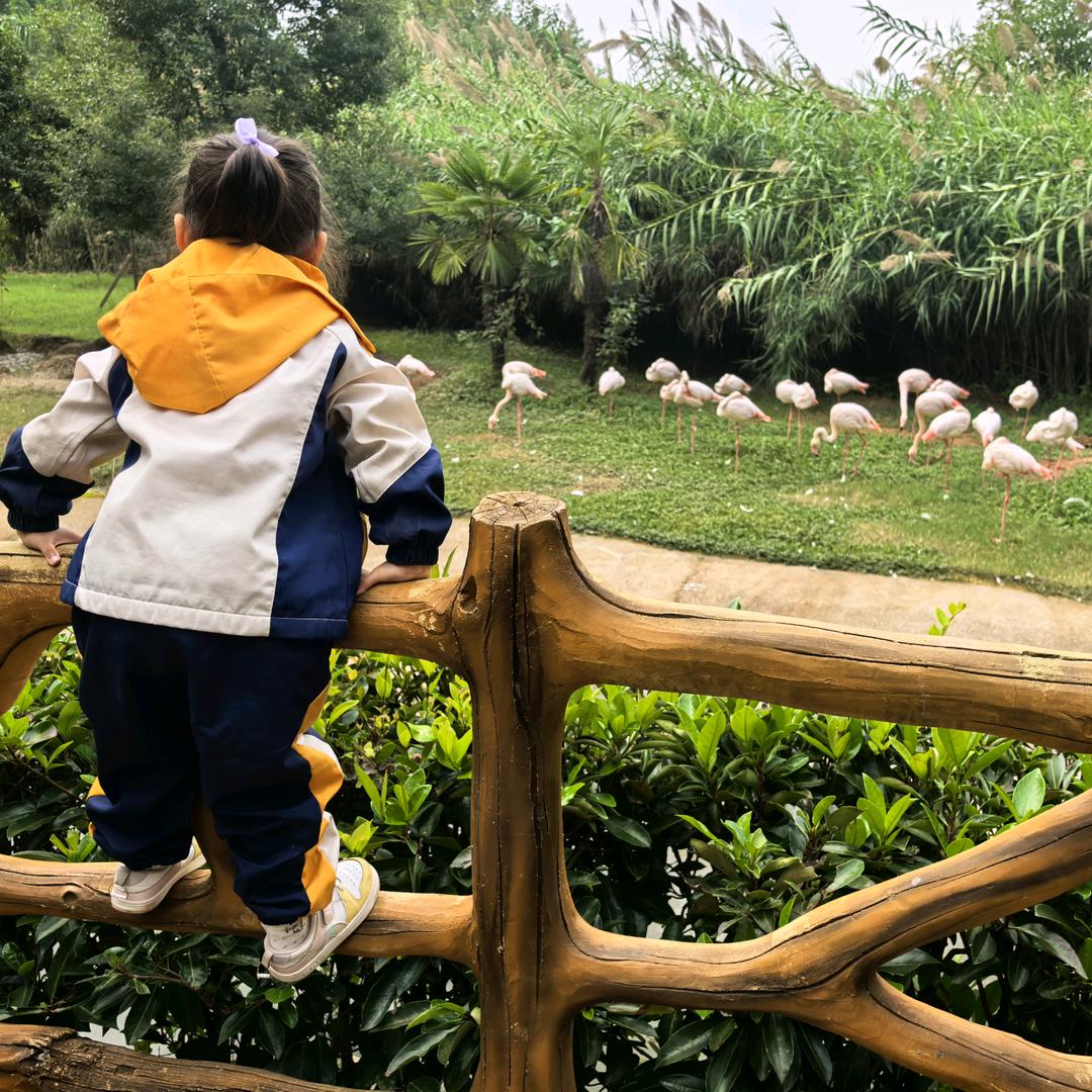 朱ཻఇ事順利࿐💞