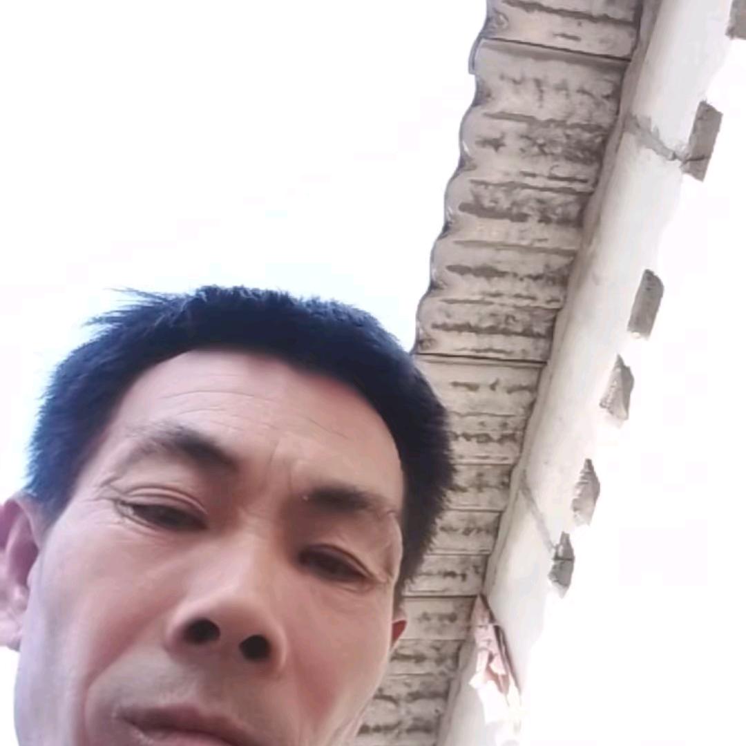金~爷
